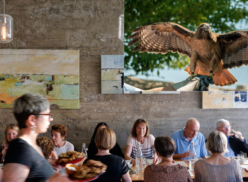 Spinster Sisters - Santa Rosa This brunch is for the birds! On Mother’s Day, the SOFA restaurant will offer specials for mom, along with their usual brunch menu (Rancho Gordo bean tostada, homemade bagel and lox, wilted kale salad are all winners) AND visits with some feathered friends from the Bird Rescue Center of Sonoma County. Open 9am to 2:30 for brunch, but come a little early to make friends with a raptor. 401 South A St., Santa Rosa.