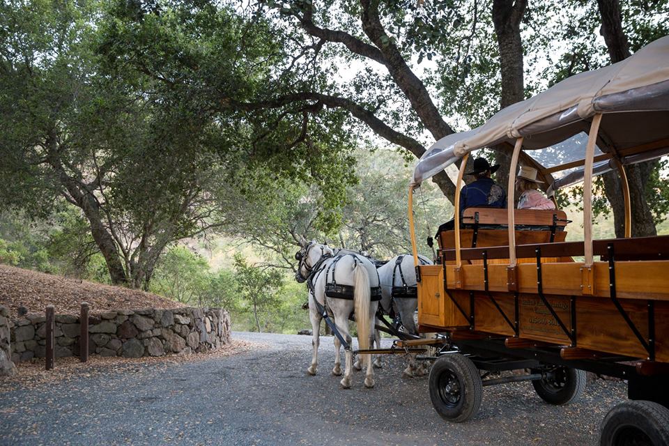 Sept. 2016 at Skenes Ranch (Facebook)