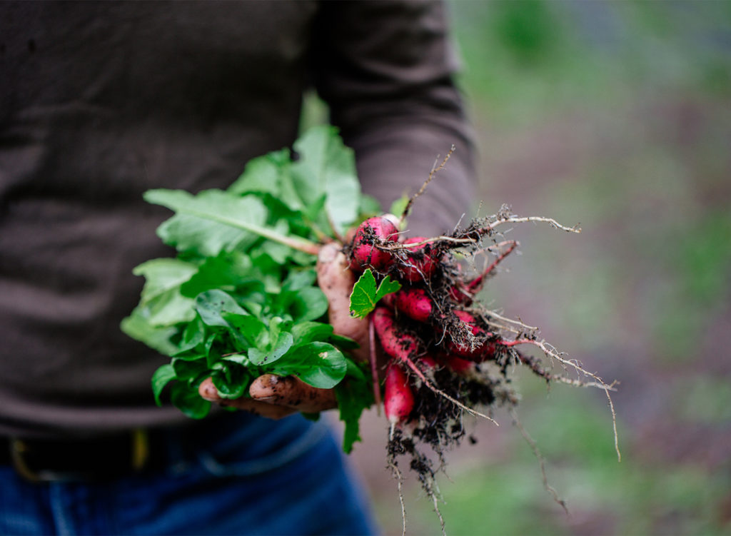 Trading Post Restaurant and Bakery in Cloverdale. Photos © 2017 BrakeThrough Media.