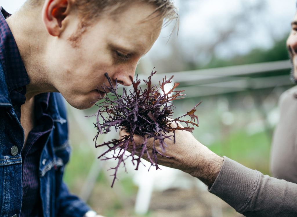 Trading Post Restaurant and Bakery in Cloverdale. Photos © 2017 BrakeThrough Media.