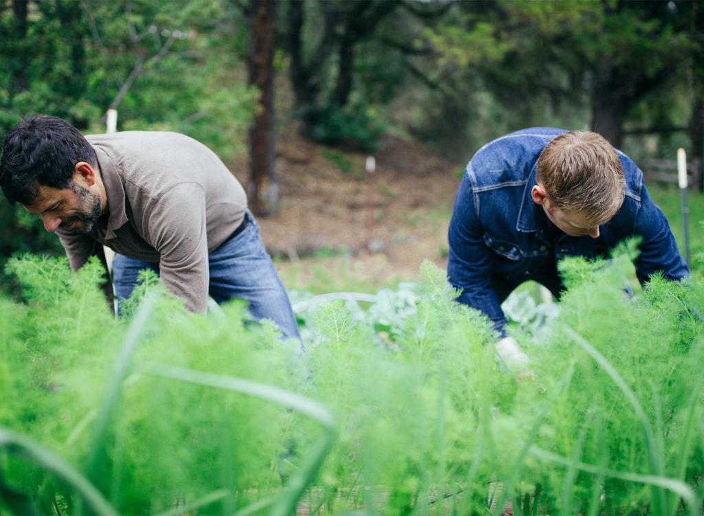 Trading Post Restaurant and Bakery in Cloverdale. Photos © 2017 BrakeThrough Media.