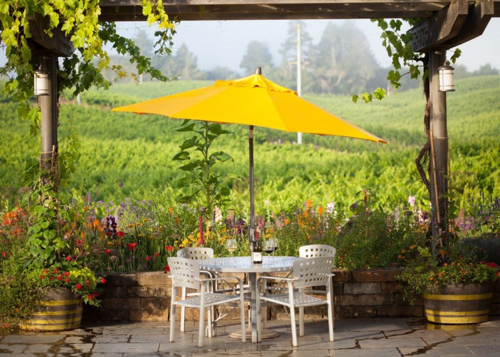 5 West County Wineries to Visit Right Now