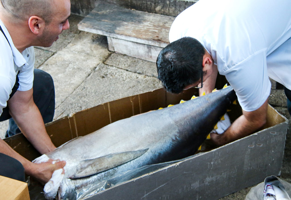 Lifting a 250 pound tuna at Reel Fish Shop & Grill in Sonoma. Heather Irwin/PD