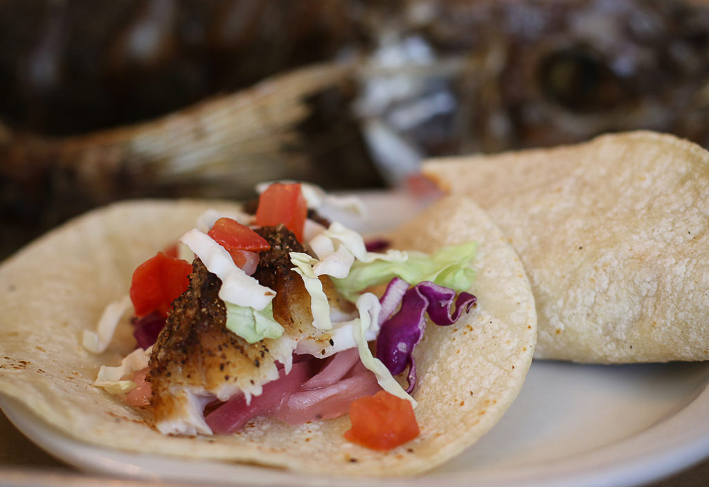 Taco with rockfish at Reel Fish Shop & Grill in Sonoma. Heather Irwin/PD