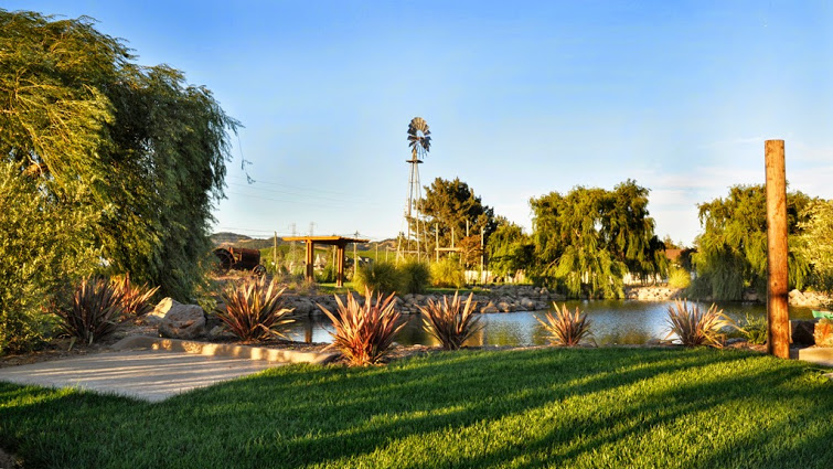 Carneros Brewing Company beer garden. 