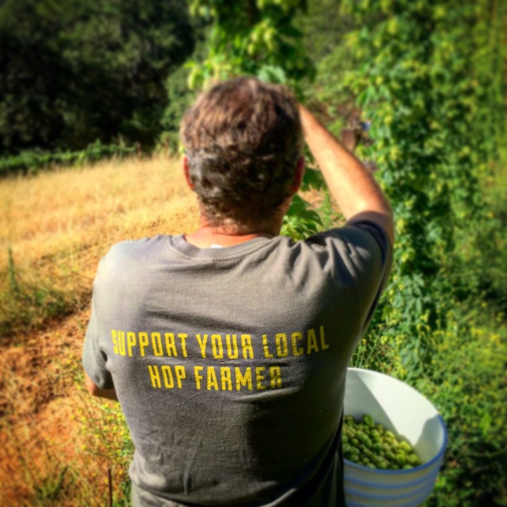 Paul Hawley on their hop farm in Dry Creek Valley. (Photo provided by Fogbelt Brewing) 
