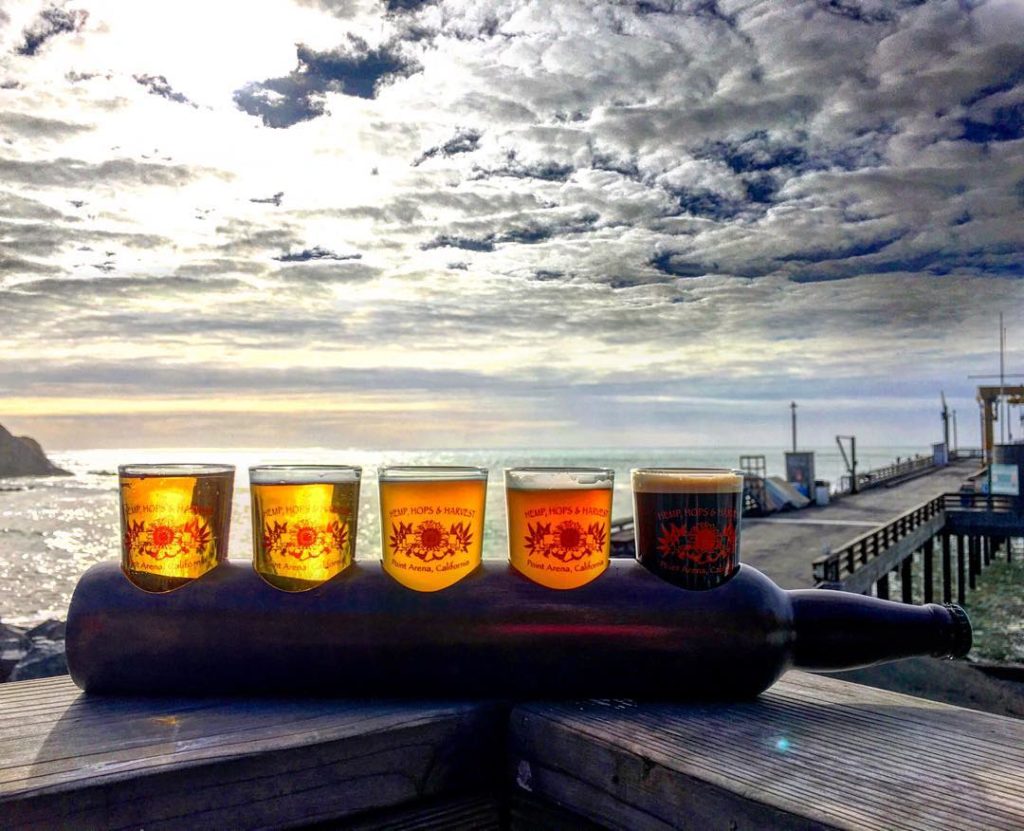 (Photo: @masonanderica)