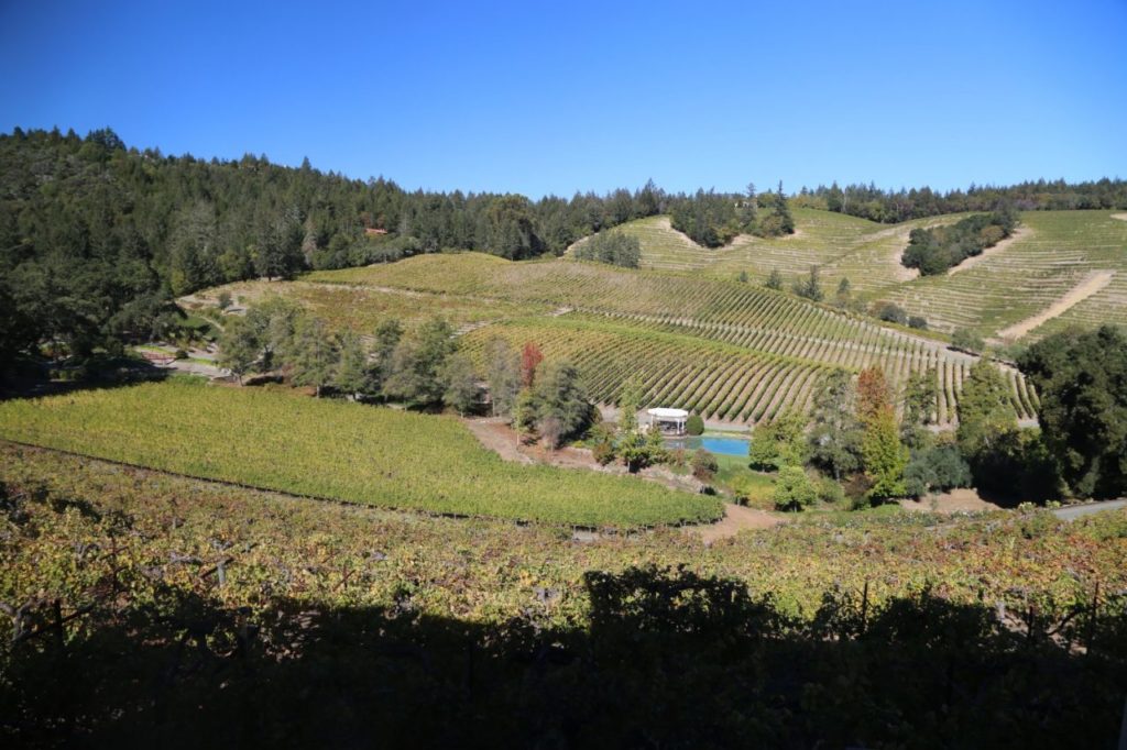 (Photo: Napa Wine Project)