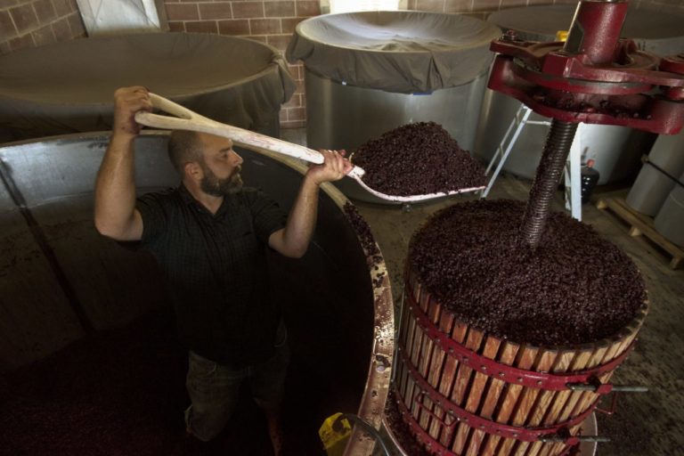 The Big Punch The Dirtiest Job in Winemaking Sonoma Magazine