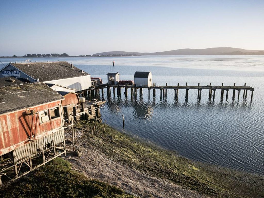 (Photo: Anthony Lyo)