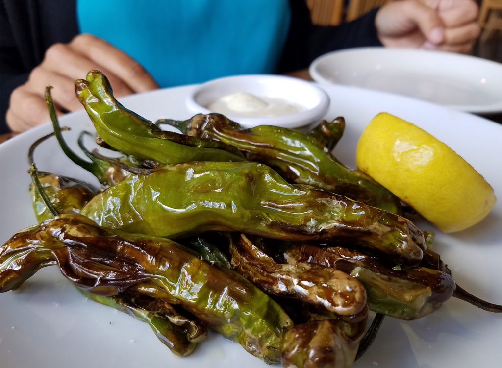 Shishito peppers at 2 Tread Brewing co. The downtown Santa Rosa brewpub and restaurant offers a full menu for lunch an dinner. Heather Irwin/PD