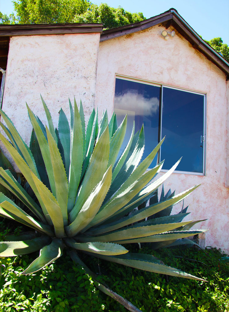Food writer MFK Fisher's home near Glen Ellen is being rehabbed to celebrate her contributions, and to allow the public to connect with her legacy. A party in June was the first look into the house. Heather Irwin/Sonoma Magazine