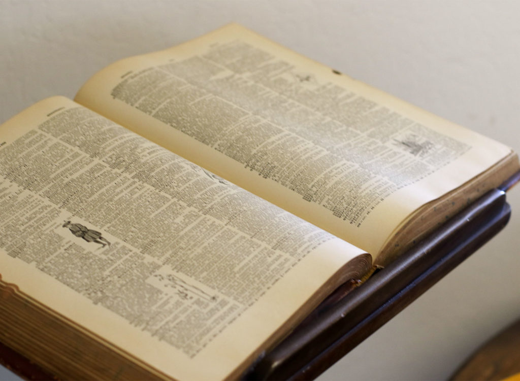 Food writer MFK Fisher's home near Glen Ellen is being rehabbed to celebrate her contributions, and to allow the public to connect with her legacy. A party in June was the first look into the house. Heather Irwin/Sonoma Magazine