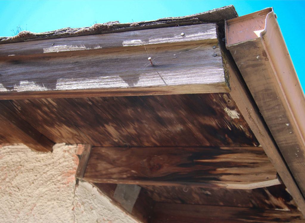 Food writer MFK Fisher's home near Glen Ellen is being rehabbed to celebrate her contributions, and to allow the public to connect with her legacy. A party in June was the first look into the house. Heather Irwin/Sonoma Magazine