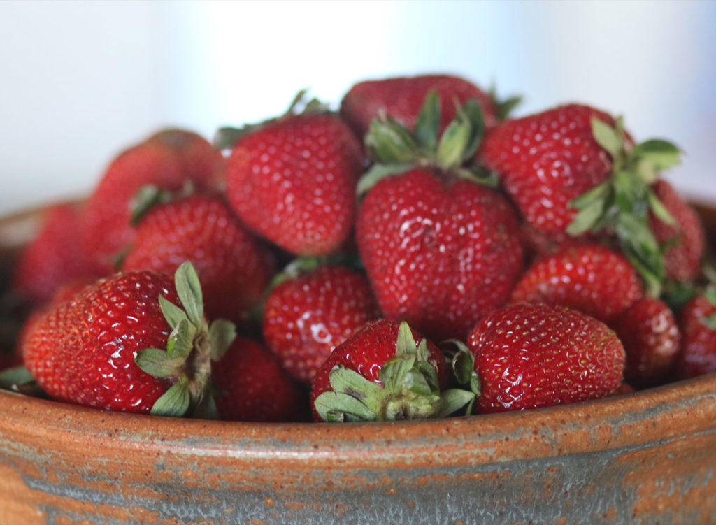 Food writer MFK Fisher's home near Glen Ellen is being rehabbed to celebrate her contributions, and to allow the public to connect with her legacy. A party in June was the first look into the house. Heather Irwin/Sonoma Magazine