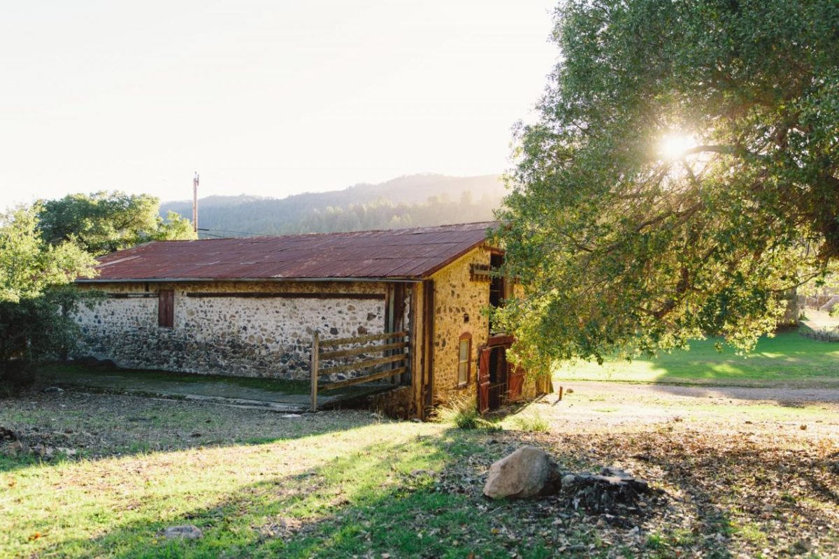 At Jack London State Historic Park in Glen Ellen. (Sarah Deragon)