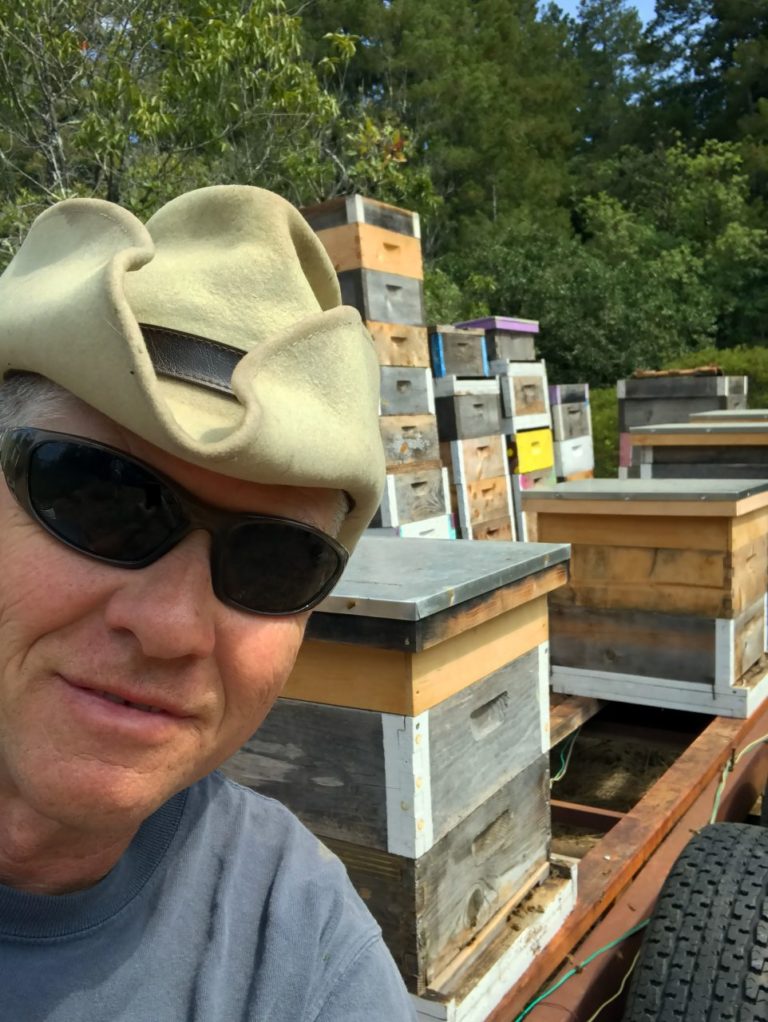 Despite Heavy Losses From Fires, Sonoma Beekeepers Focus on