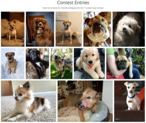 Simply click on the heart icon to vote for the dog you think is the cutest. Voting will be held from Dec. 5-15. 