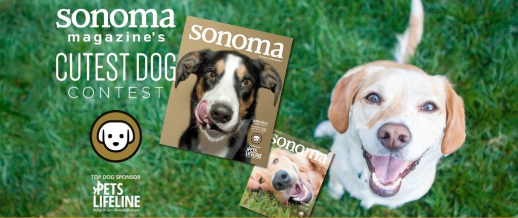 Voting will remain open from Dec. 5-15.