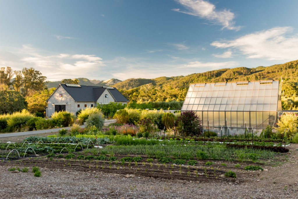 Rebecca Chotkowski The barn at Flatbed Farm, near Glen Elle, before it was destroyed by the wildfires in October.