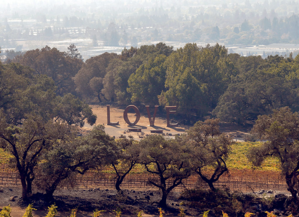 The two-story tall, metal Love sculpture still stands at Paradise Ridge Winery, in Santa Rosa, California, on Thursday, October 12, 2017. The winery's tasting room, wine production facility and some of the surrounding vineyards and gardens were destroyed by the Tubbs fire three days earlier. (Alvin Jornada / The Press Democrat)