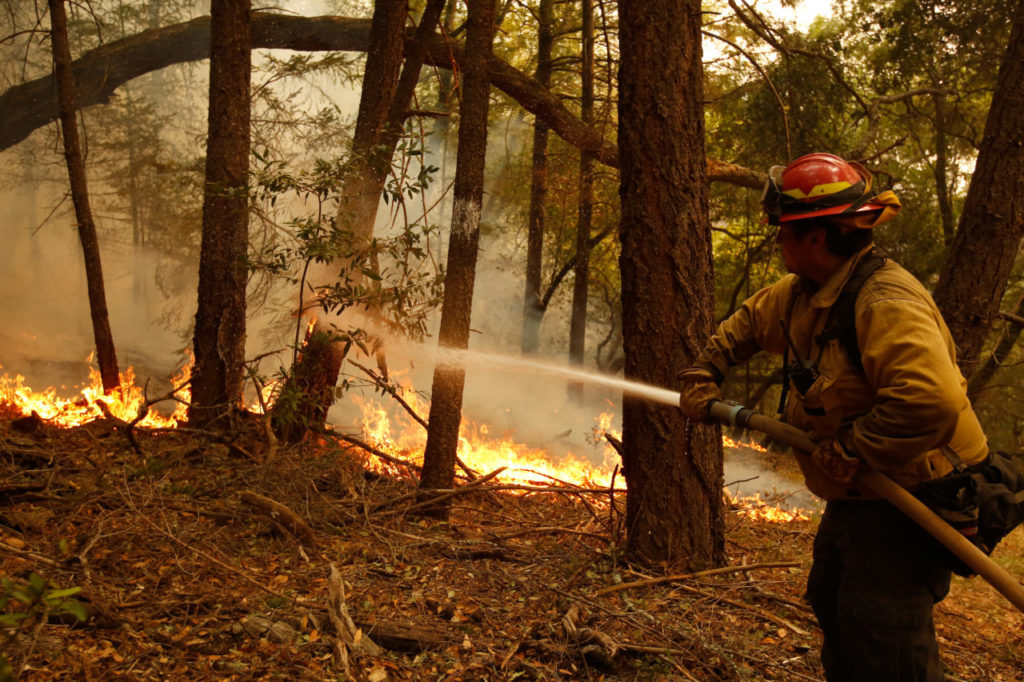 North Lake Tahoe Fire captain Jamie Sheppard extinguishes flames crawling up a tree behind a containment line near homes to protect them from the Nuns fire around Hood Mountain Regional Park in Santa Rosa, California on Monday, October 16, 2017. (Alvin Jornada / The Press Democrat)