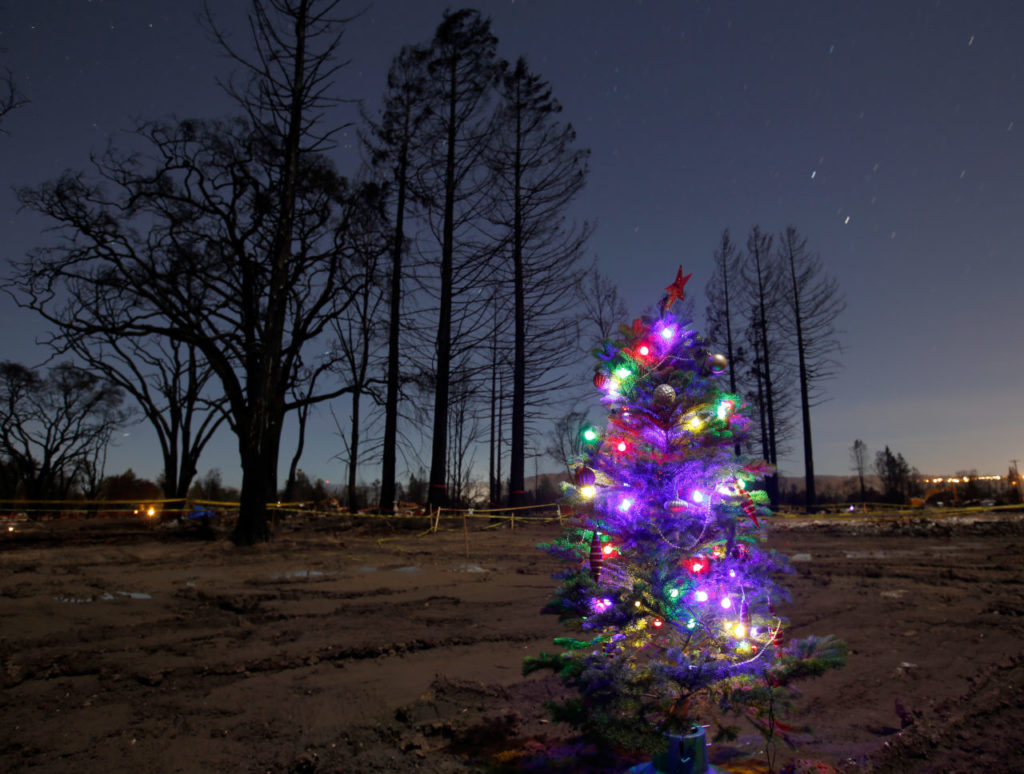 A lighted Christmas tree stands on the cleared property where Tricia Woods' home once stood on Hopper Avenue in the Coffey Park neighborhood of Santa Rosa, California on Thursday, November 30, 2017. As a sign of community spirit, Woods and her family helped her best friend May Salido and her family put up their own Christmas tree where their own home stood before the Tubbs Fire. (Photo by Alvin Jornada)