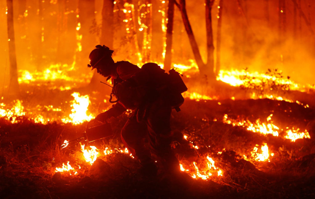 Inmate Richard Epiceno of Cal Fire Mt. Bullion Inmate Crew 2 lights vegetation on fire with a drip torch during a back firing operation at the Oakmont Fire, off Highway 12 in Santa Rosa, California, on Tuesday, October 17, 2017. (Alvin Jornada / The Press Democrat)
