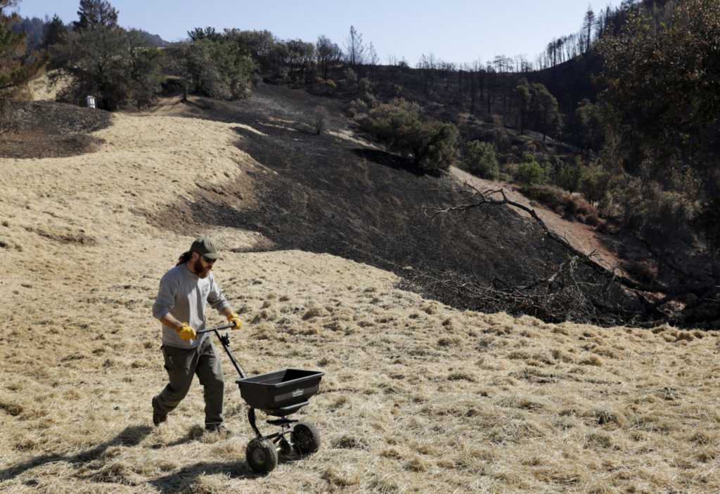 Sonoma County Parks maintenance worker Trevor Thompson spreads fescue and wildflower seeds over freshly laid straw in an effort to combat erosion on a hillside disturbed by bulldozers at Hood Mountain Regional Park in Kenwood, on Wednesday, November 1, 2017. (BETH SCHLANKER/ The Press Democrat)