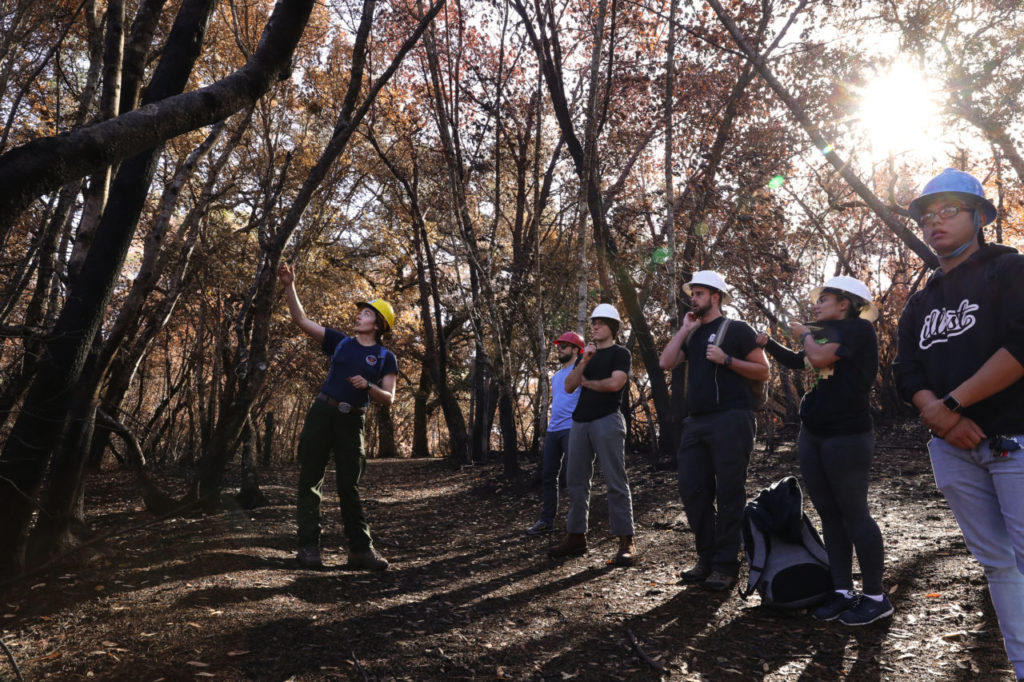 Audubon Canyon Ranch fire ecologist Sasha Berleman, left, talks to a Principles of Biology class from Santa Rosa Junior College about what the fire did to the environment at Bouverie Preserve on Tuesday, November 28, 2017. (Christopher Chung/ The Press Democrat)
