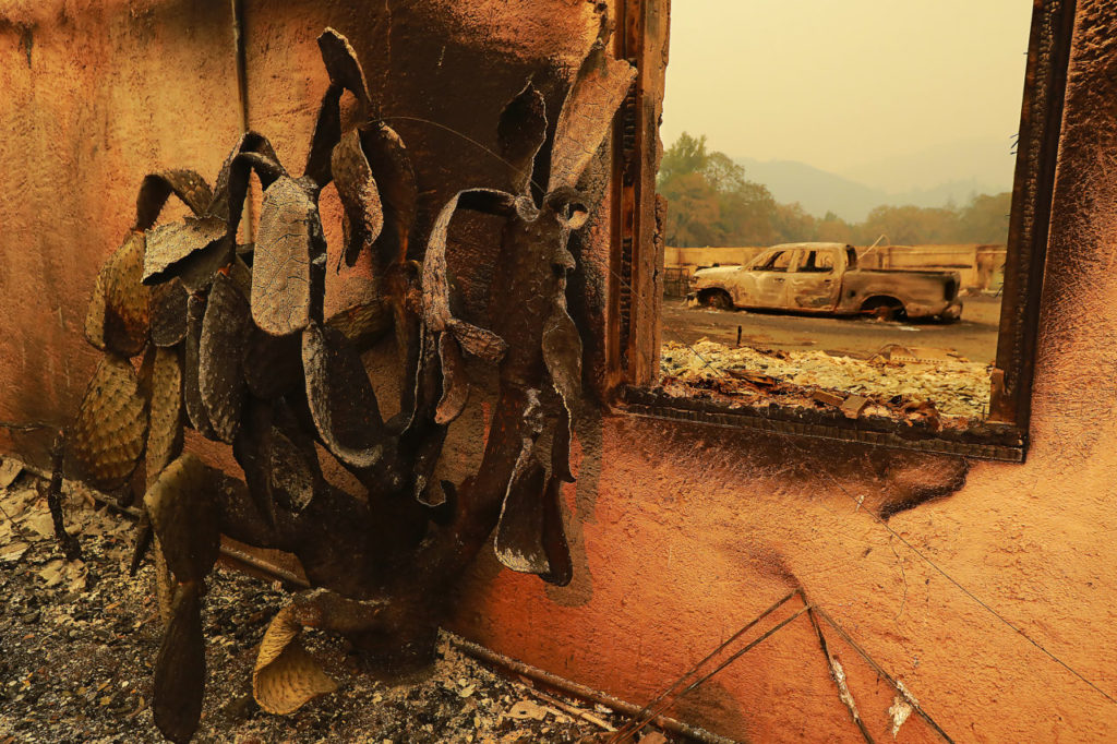 A burned cactus still stands outside a building at the Bouverie Preserve in Glen Ellen. (Photo by John Burgess)