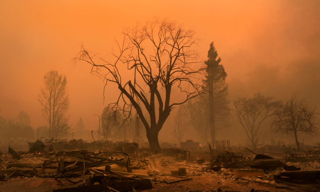 Sunrise turns the smoke an eerie color at Coffey Park in Santa Rosa, Monday Oct. 9, 2017. (Kent Porter / Press Democrat) 2017