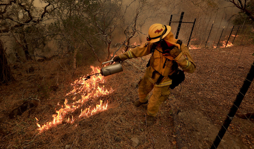 A San Diego Cal Fire uses a drip torch to light a backfire in order to stave off the advancing Nuns fire (the Southern LNU Complex), Wednesday Oct. 11, 2017 off of High Road above the Sonoma Valley. (Kent Porter / Press Democrat) 2017