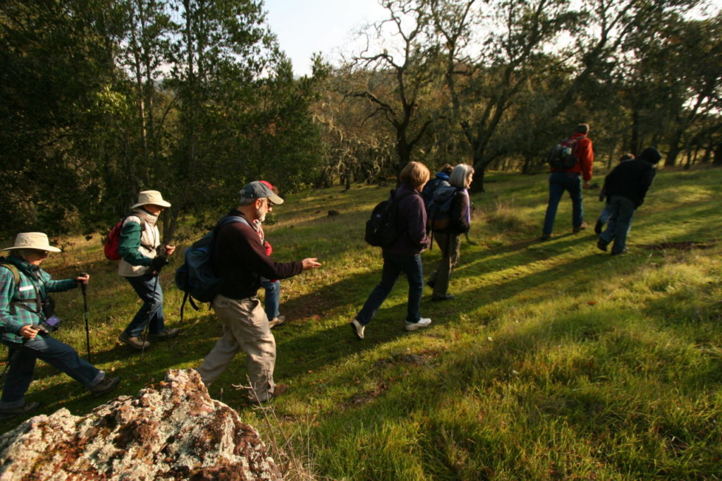 Jim Moir, volunteer docent at the Bouverie Preserve near Glen Ellen, leads hikers in small groups through the 500-acre preserve to learn about the plants, animals and habitat of the area. The retired Agilent and Hewlett-Packard engineer is one of about 130 hike leaders at the preserve.