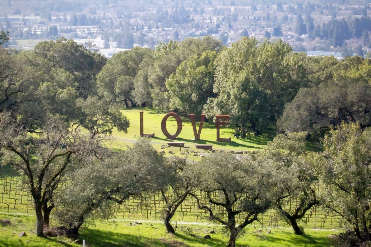 Love lines the hills near Paradise Ridge Winery, in Santa Rosa, Calif Tuesday, February 14, 2017. (Jeremy Portje / For The Press Democrat)