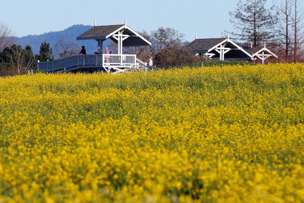 Visitors take in the view from the Laguna de Santa Rosa Foundation observation deck, in Santa Rosa, California on Saturday, February 11, 2017. (Alvin Jornada / The Press Democrat)