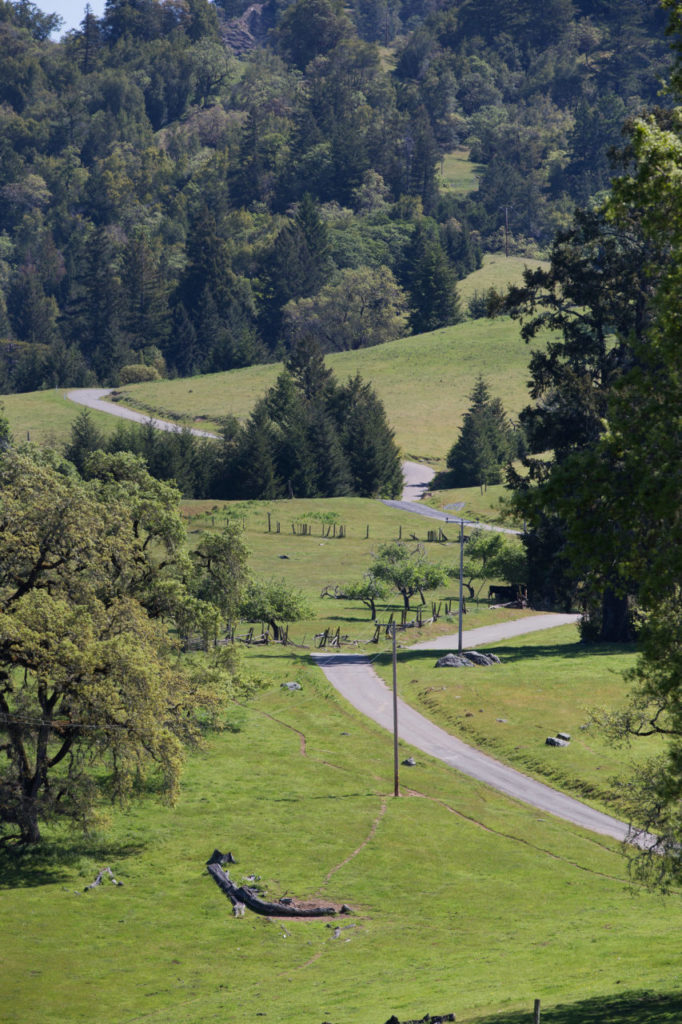 King Ridge Road winds its way through the countryside. (Photo by Charlie Gesell)