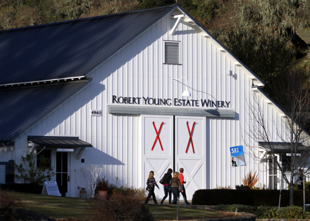 1/20/2013: B12: PC: Guests from Chicago make their way to the Robert Young Estate Winery during the 21st annual Winter Wineland event in Geyserville, Saturday, January 19, 2013. (Crista Jeremiason / The Press Democrat)