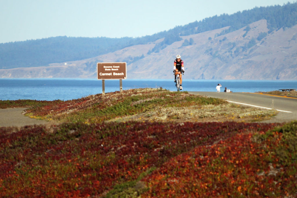 Riders in the 2013 Levi's GranFondo make their way along Highway 1 on Saturday, October 5, 2013. (Conner Jay/The Press Democrat)