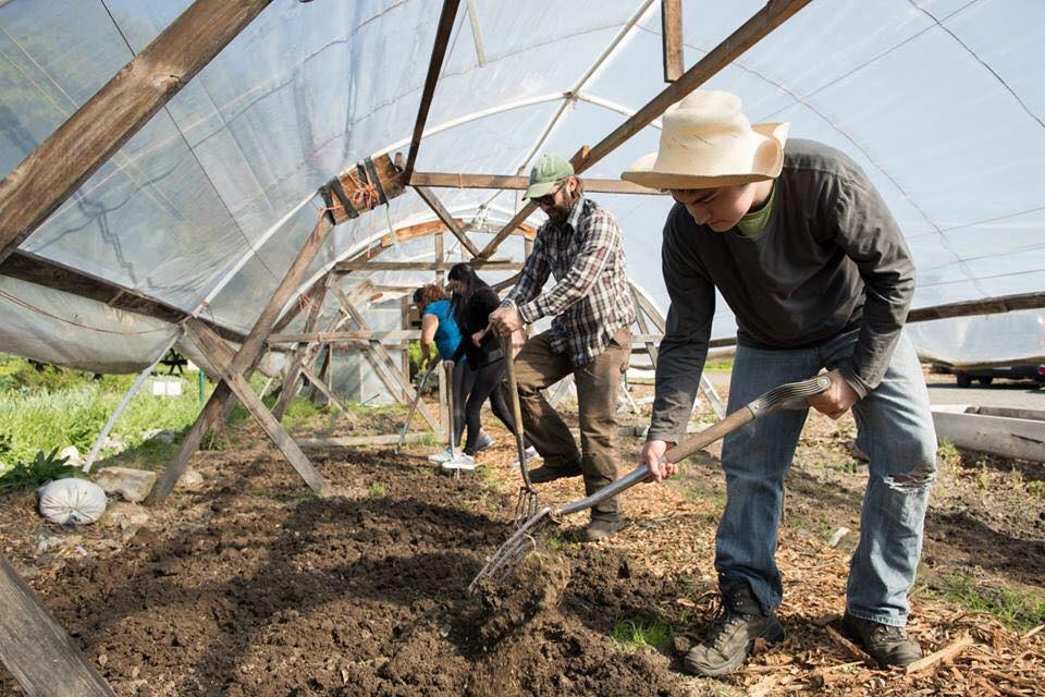 Cesar Chavez Day of Service at Petaluma Bounty (Paige Green Photography)