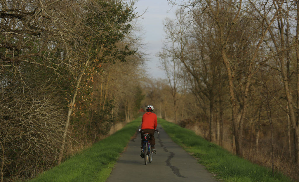 3/2/2014: D1: Ron Claret of Santa Rosa takes a leisurely bike ride on the Santa Rosa Creek Trail off Willowside Road on Tuesday. Cyclists will be happy to know that some new bike trails will be open soon for motor-traffic-free cycling. PC: Ron Claret of Santa Rosa takes a leisurely bike ride on the Santa Rosa Creek Trail off Willowside Road, Tuesday Feb. 25, 2014. (Kent Porter / Press Democrat) 2014