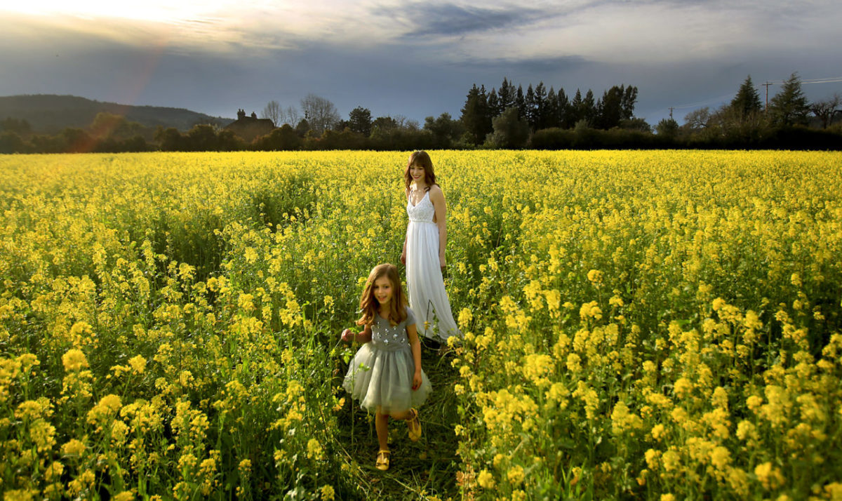 Lille Smallcomb and her mother Jennie of Santa Rosa take advantage of the warm weather to relax in a mustard field near Kenwood, as they prepare to model dresses for a commercial photographer. (Kent Porter / The Press Democrat)