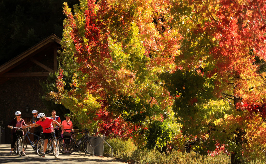 A group of riders from Milwaukee prepare to take to West Dry Creek Road near Healdsburg, Wednesday Sept. 21, 2016 on their last bike ride of the summer. Fall starts on Thursday. (Kent Porter / The Press Democrat) 2016