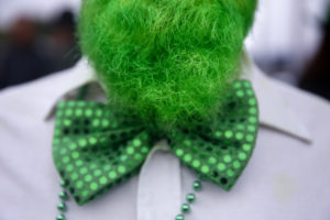 Pat Davis died his beard green for the St. Patrick's Day parade in Healdsburg, on Tuesday, March 17, 2015. (BETH SCHLANKER/ The Press Democrat)