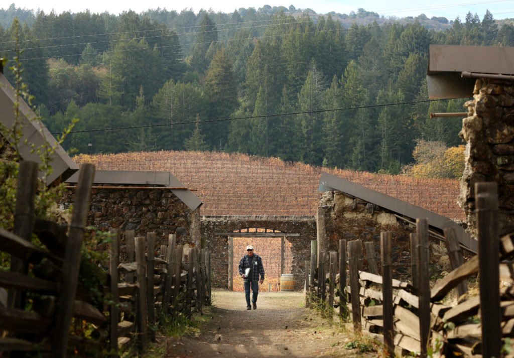 12/11/2013:D1: Lou Leal, a docent at the Jack London State Park Park, walks through the foundations of the old winery in Glen Ellen. The roofless winery ruins now serves as a theater used by the Transcendence Theatre Company's "Broadway Under the Stars" series of summertime performances, with vineyards as a backdrop PC: Park docent Lou Leal walks through the foundations of the old winery at Jack London State Park in Glen Ellen on Tuesday, November 26, 2013. (Conner Jay/The Press Democrat)