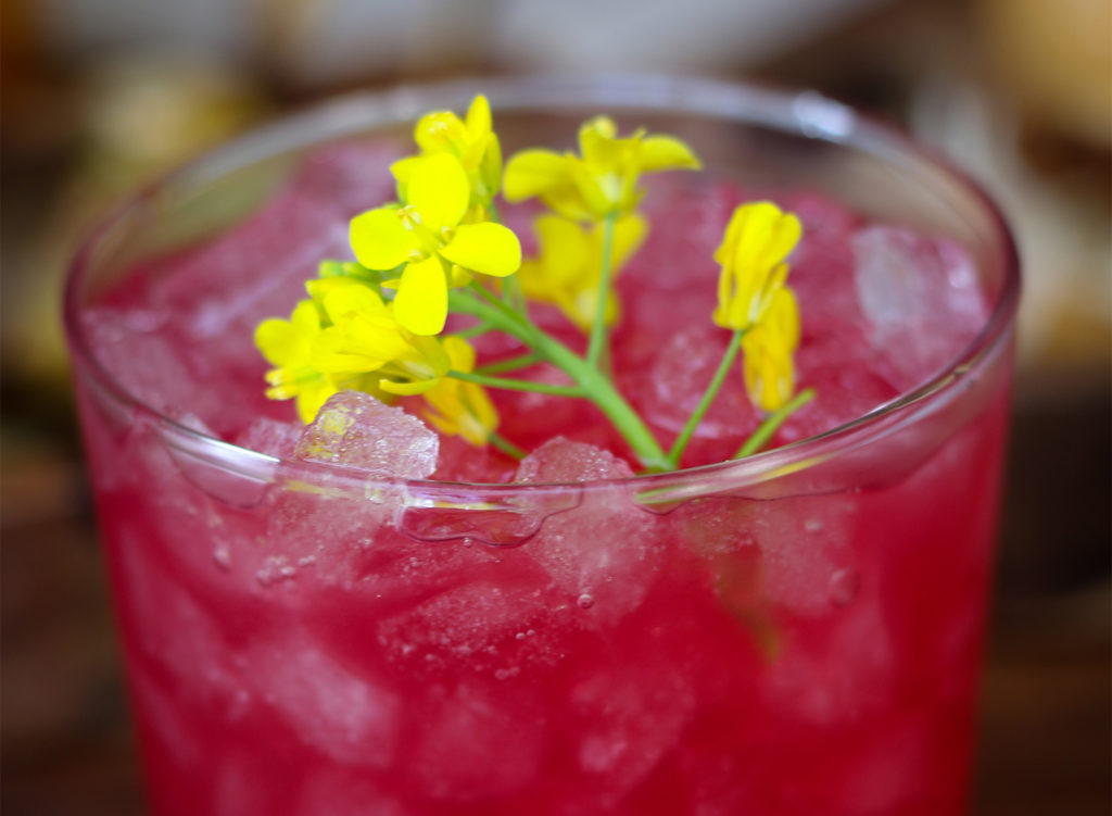 Carmela Anthony cocktail with vodka, lemongrass, ginger, prickly pear at Duke’s Common in Healdsburg. Heather Irwin/PD