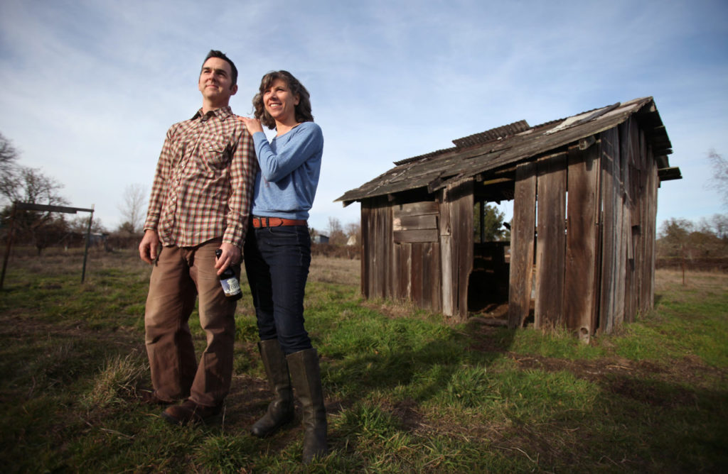 2/6/2013: D1: PC: Scott Heath and Ellen Cavalli are in the second year of production of their Tilted Shed Ciderworks, north of Sebastopol. (Christopher Chung/ The Press Democrat)
