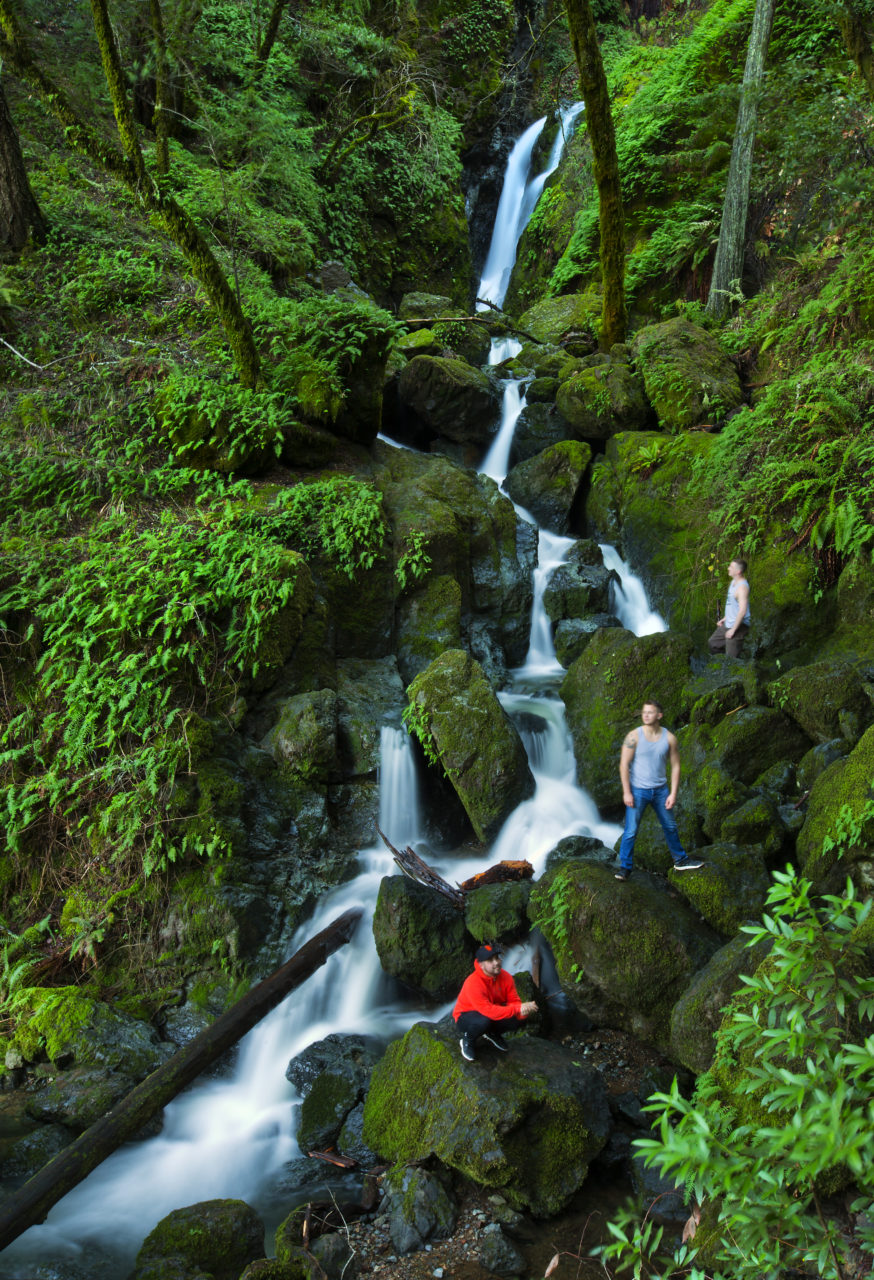Scott Wall, top, Chris Hatfield and Lawrence Hernandez of Benicia took the day off to explore the Cataract Creek Trail on the northern flank of Mt. Tamalpais in Marin. (JOHN BURGESS / The Press Democrat)