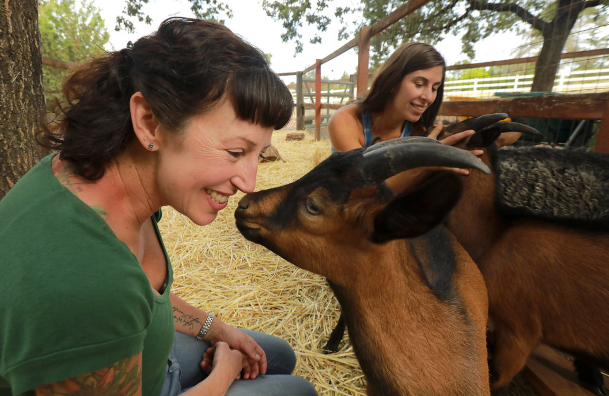 Goatlandia Sanctuary founder Deborah Blum, left, and assistant Alana Eckhart snuggle with an Oberhasli goats at the farm animal rescue center outside of Santa Rosa. (John Burgess/The Press Democrat)
