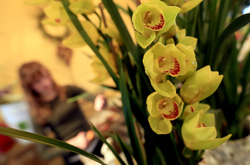 Heather Frye at Dragonfly Floral in Healdsburg, uses orchids in Valentine's Day arrangements, Thursday Feb. 13, 2014. (Kent Porter / Press Democrat) 2014